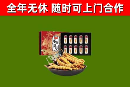 宏伟回收冬虫夏草价格